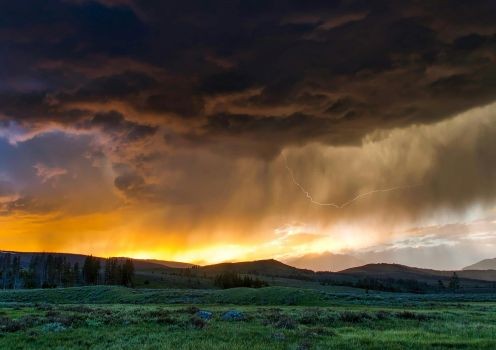 What happens when we truly return to trust?